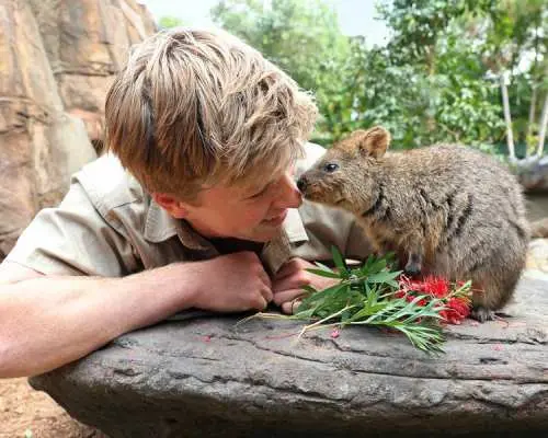 [เฉพาะเดือนมิถุนายนและกรกฎาคม]**เข้าชม Featherdale Wildlife Park ฟรี**[Come Play Sydney] กิจกรรมวิ่งอิสระ 90 นาที สวนสัตว์และเทือกเขาบลูเมาน์เทนส์