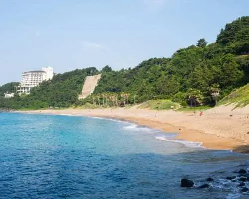 Jeju Jungmun 1-Day Bus Tour | Jungmun Jeju Bus Day Tour