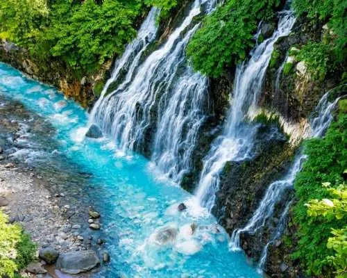 [Summer Limited Time Offer | Includes Shikisai-oka Admission + Flower Field Tractor Tour] Hokkaido Biei-Furano Day Trip | Shikisai-oka & Shirogane Blue Pond & Shirahige Falls & Farm Tomita | English & Chinese Service | Round Trip from Sapporo