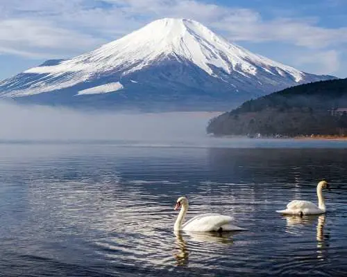 富士山私人包車一日遊｜東京出發・專屬司機接送・彈性客製化行程
