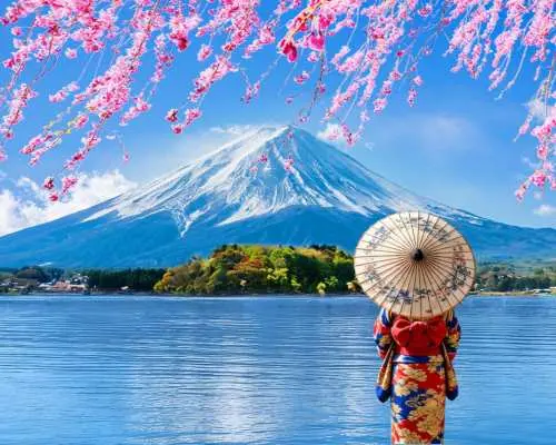【富士山璀璨美景一日遊】新倉山淺間公園・忍野八海・河口湖大石公園・日川時計店・山中湖風光體驗（東京出發）