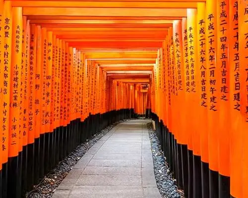 ทริปเที่ยวชมสถานที่ท่องเที่ยวยอดนิยมในเกียวโตแบบไปเช้าเย็นกลับ | ปราสาทนิโจ วัดคินคาคุจิ ศาลเจ้าฟูชิมิอินาริ ป่าไผ่อาราชิยามะ ป่ากิโมโน | ออกเดินทางจากโอซาก้าหรือเกียวโต