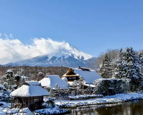 東京富士山一日遊｜河口湖・新倉山淺間公園・日川時計店・忍野八海・大石公園巡禮