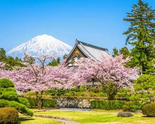 東京富士山一日遊｜河口湖・新倉山淺間公園・日川時計店・忍野八海・大石公園巡禮