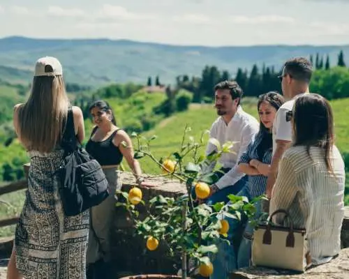 Tuscany Pasta Making Class And Guided Chianti Wine Tour