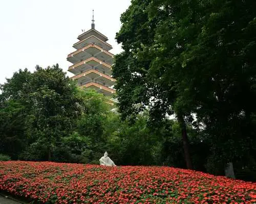 Chongqing Half-Day Tour | Eling 3.5-Hour City Walk: 360° Panoramic Exploration of Chongqing | Bilingual (Chinese and English) Guide