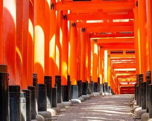 【カスタマイズ可能な複数日貸切チャーター車】大阪、京都、奈良、神戸、三田、有馬、和歌山、白浜、兵庫、姫路城、琵琶湖、三重、伊勢神宮を含む関西地方のプレミアムカスタマイズDIYツアー