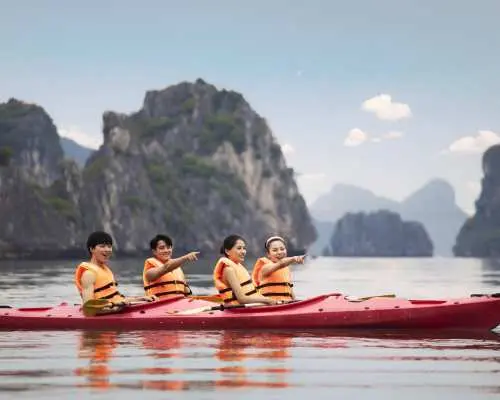 Best Bai Tu Long Bay Day Cruise Explore Hidden Gems & Pristine Landscapes