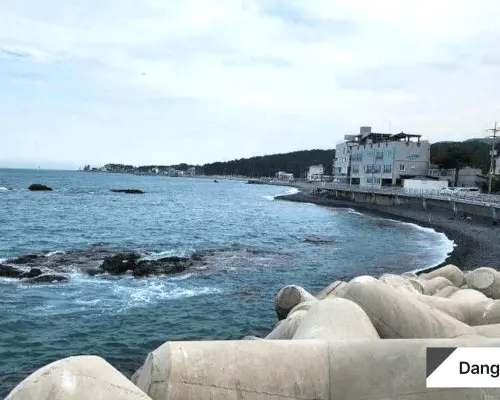 釜山発、蔚山の歴史と海岸の癒しを体験する日帰りツアー