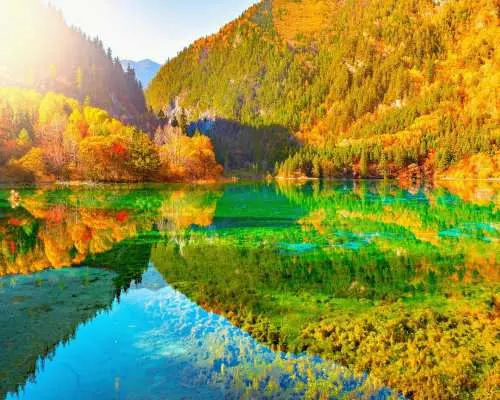 중국 쓰촨성 아바현 | 주자이거우 당일 여행 (고속열차 및 미니밴 이용, 2~8인)