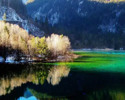 중국 쓰촨성 아바현 | 주자이거우 당일 여행 (고속열차 및 미니밴 이용, 2~8인)