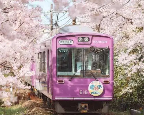 日本關西多日包車訂製｜大阪/京都/奈良/神戶/有馬/和歌山/姬路城/琵琶湖/伊勢神宮輕鬆客製自由行
