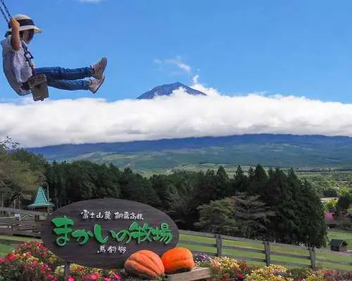 富士山网红景点 & 马饲野牧场 & 田贯湖 & 新仓山浅间公园一日游拼车游 可选9人团饭店接送方案