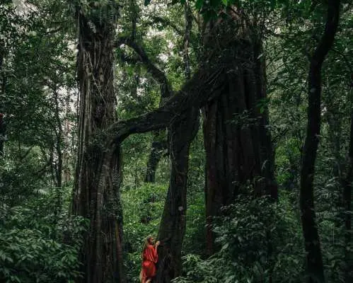 Munduk Jungle Trekking,Canoing & Waterfalls