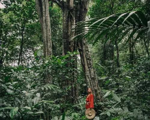 Munduk Jungle Trekking,Canoing & Waterfalls