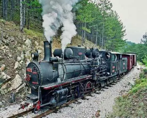 Belgrade: Day trip to Drina River cabins + Saargan Railway No. 8 + Wooden Town