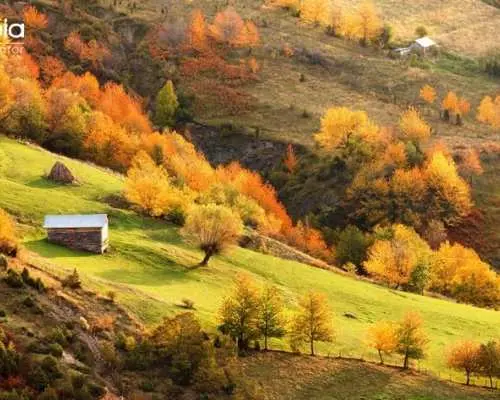 Belgrade: One-day tour of the Drina River cabins, Tara Park, and the bullet hole monument.