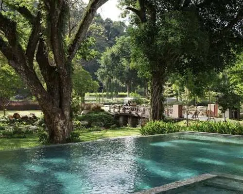 Flora Creek and Dinner at The Hill Chiang Mai | Thailand