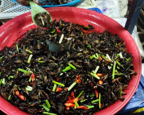 暹粒美食體驗夜遊
