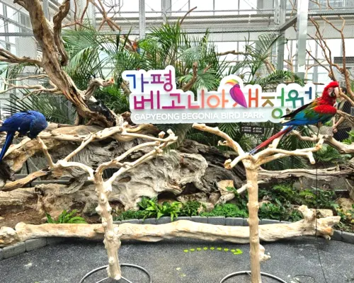 Departing from Seoul | Hwacheon DMZ Demilitarized Zone 1-Day/2-Day Tour‧Chilsung Observatory‧Gapyeong Begonia Park‧Soyang River Skywalk‧Hwacheon Park Golf Experience