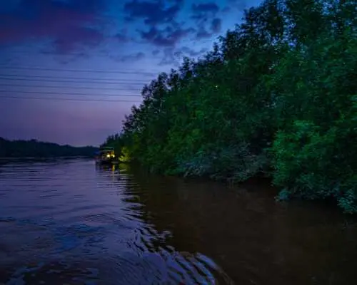 瓜拉雪兰莪红树林萤火虫之旅，游船在傍晚的河流上缓缓前进，准备探索夜间生态奇观。