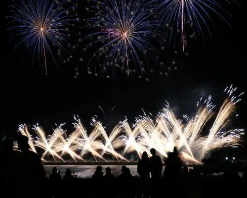 Mishima Skywalk & Atami Sea Fireworks Festival Day Trip Bus Tour (Departing from and returning to Shinjuku)