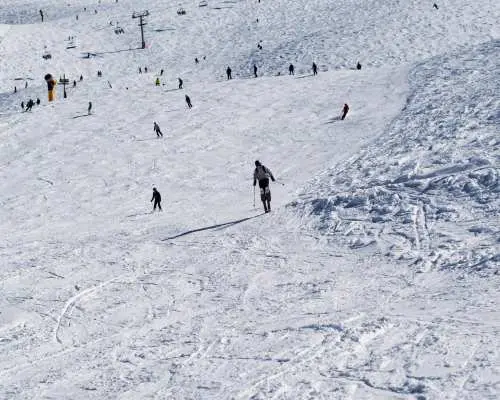 紐西蘭滑雪｜Mt Hutt哈特山1日私教課｜中英雙語