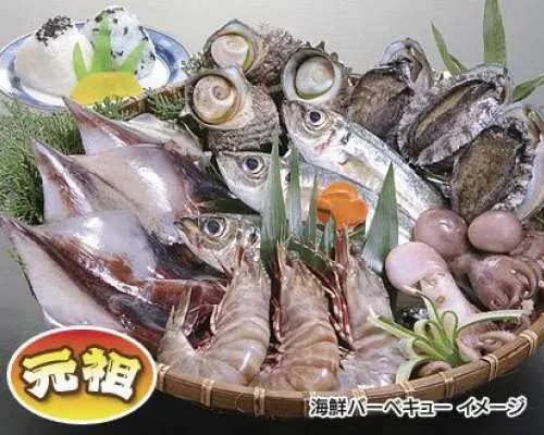 Amakusa Dolphin Watching and Seafood BBQ Day Trip with Grilled Abalone [Departing from/Returning to Hakata]