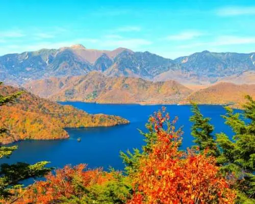 Customized private charter car car tours of Tokyo and surrounding areas | Tokyo city center/Mt. Fuji/Hakone/Kamakura/Izu/Yokohama/Nikko/Karuizawa and other areas | English and Chinese-speaking driver
