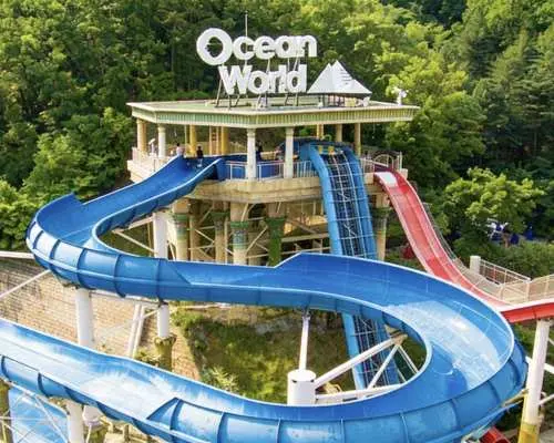 Seoul Alpaca World Shared Day Trip | Seoraksan Cable Car, Luge & Water Park Options