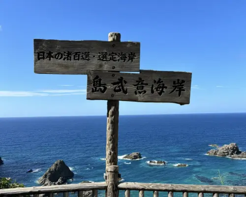 北海道櫻花季限定｜神威岬積丹藍・手宮公園・小樽櫻花一日遊｜札幌出發