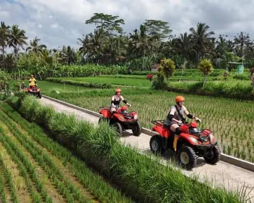 All Inclusive : Ubud Gorilla Face ATV and Ayung Rafting Trip with Meal