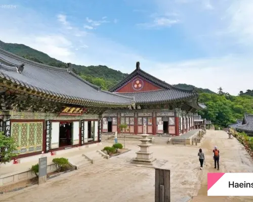 [5월 축제 투어] 합천해인사 | 황매산 철쭉 축제 당일 투어 (부산 출발)