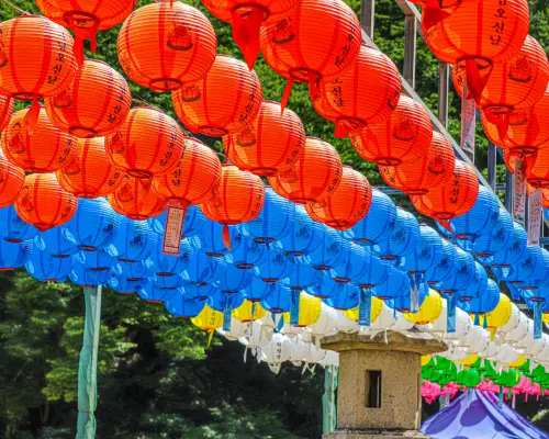 【釜山出發】慶州全攻略 12 小時極致滿分行程｜佛國寺、瞻星臺、皇理團路、東宮與月池夢幻夜景