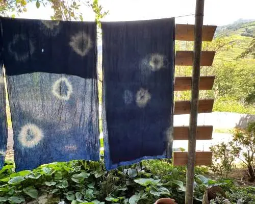 Indigo Dyeing Workshop tại Ta Van Village