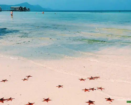 Explore Traditional Features in Phu Quoc: The Beauty of the Southern Land