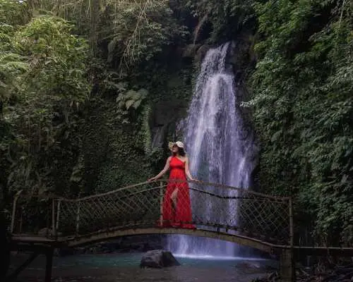 Discover Best of Ubud: Monkey Forest, Jungle Swing, Rice Terrace, Hidden Waterfall and Temple | Bali