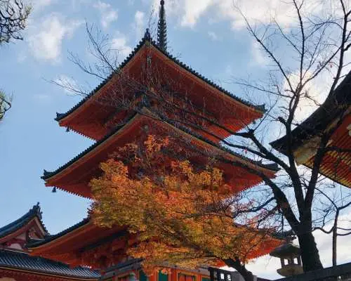 日本 ｜【大阪発 】 京都/奈良/神戸観光 10時間貸切チャーター車