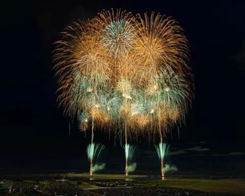 [Guaranteed Departure] Gion Kashiwazaki Festival Fireworks Display Return Overnight Bus Tour (Departing from and arriving at Shinjuku Station)