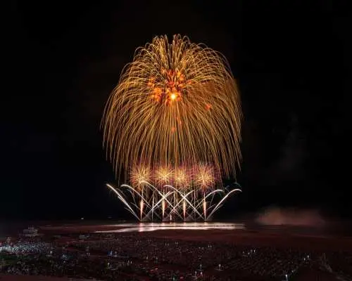 [Guaranteed Departure] Gion Kashiwazaki Festival Fireworks Display Return Overnight Bus Tour (Departing from and arriving at Shinjuku Station)