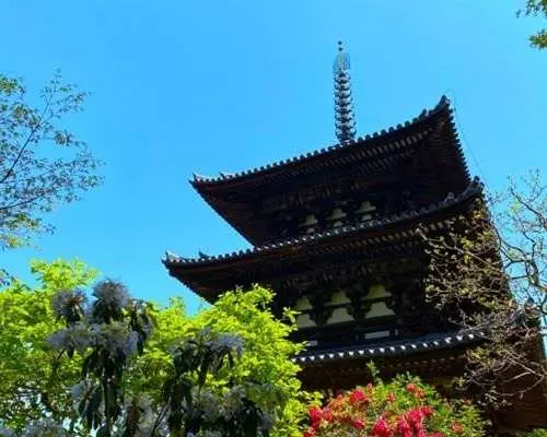 當麻寺 写仏・丸窓席お茶体験 日帰りツアー