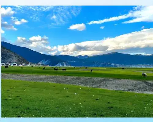 中國雲南香格里拉 |香格里拉網紅一日遊 |麗江出發當日往返
