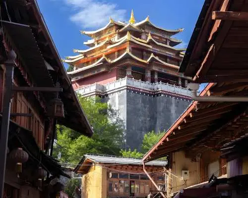 中國雲南香格里拉 |香格里拉網紅一日遊 |麗江出發當日往返