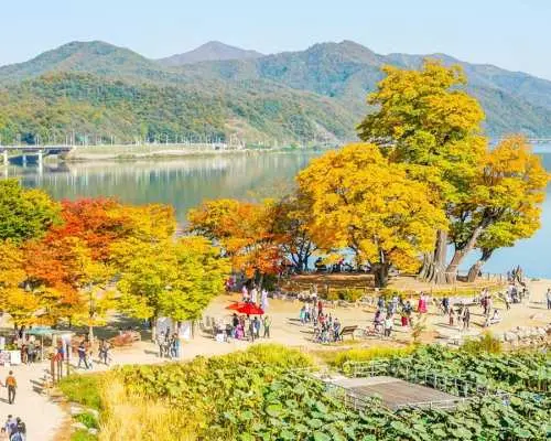 杨平｜疗愈风景一日游｜龙门寺・梦想照相机咖啡馆・两水头｜首尔出发