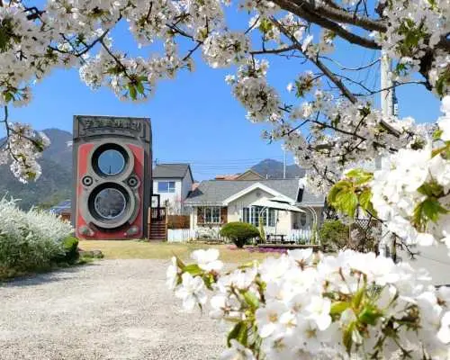 杨平｜疗愈风景一日游｜龙门寺・梦想照相机咖啡馆・两水头｜首尔出发