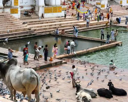 10-Day Jodhpur, Jaisalmer, Bikaner, Jaipur & Agra Tour with Mandawa Town.