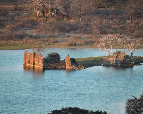 From Ranthambore : Private Chambal Sanctuary Boat Safari.