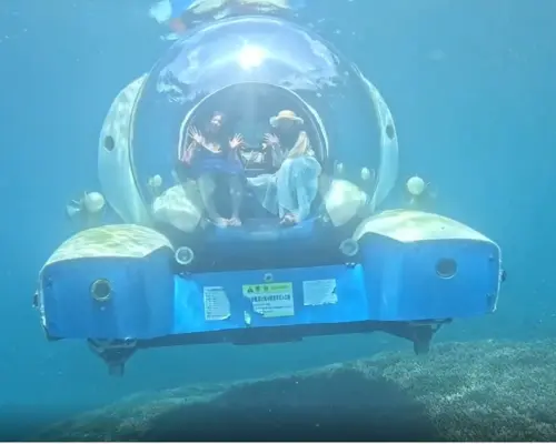 Tour khám phá UFO dưới nước tại Bali Nusa Penida | Tránh bị ướt khi khám phá rạn san hô và sinh vật biển | Khởi hành từ Bali