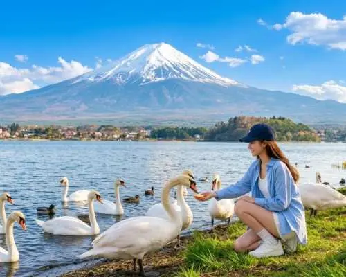 Tokyo Mt. Fuji and Sumo Performance Full-Day Cultural Tour
