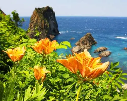 北海道积丹半岛一日游｜神威岬＋黄金岬海景＋小樽运河＋季节水果採摘｜札幌出发